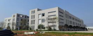 工業(yè)和信息化部信息化推進司副司長 洪京一