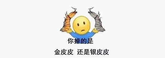 最近刷屏的“皮皮蝦”你知道是什么梗嗎？來，走起