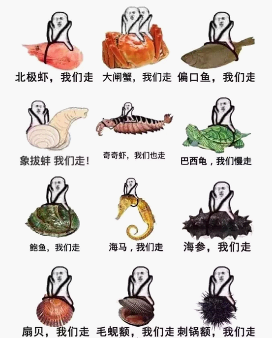 最近刷屏的“皮皮蝦”你知道是什么梗嗎？來，走起