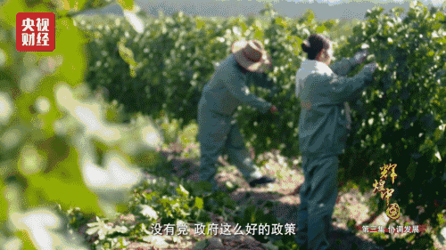 喜迎十九大，國力強盛人民歡慶