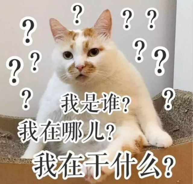 雙十一最新熱詞出爐，快來看看你有沒有中槍？