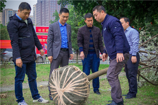 植樹節(jié)，在夢(mèng)想的地方栽下希望的綠色！
