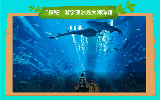 五一去哪兒？新華IT夏令營嗨爆小長假！