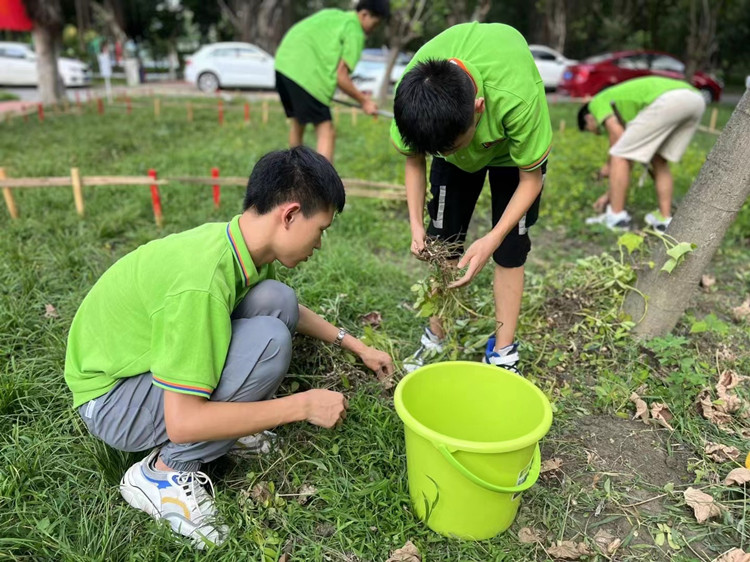 豐收季來襲！新華農(nóng)場喜迎豐收季~