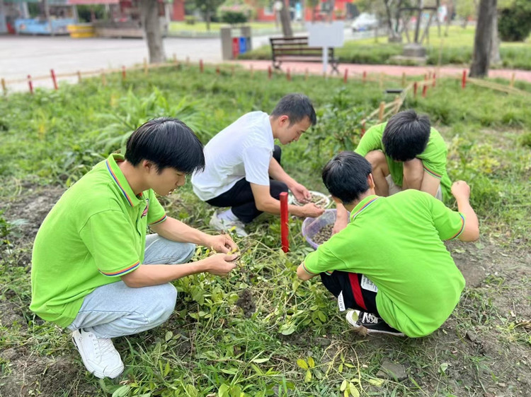 豐收季來襲！新華農(nóng)場喜迎豐收季~