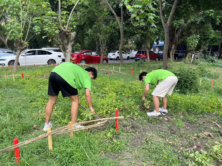 豐收季來襲！新華農(nóng)場喜迎豐收季~