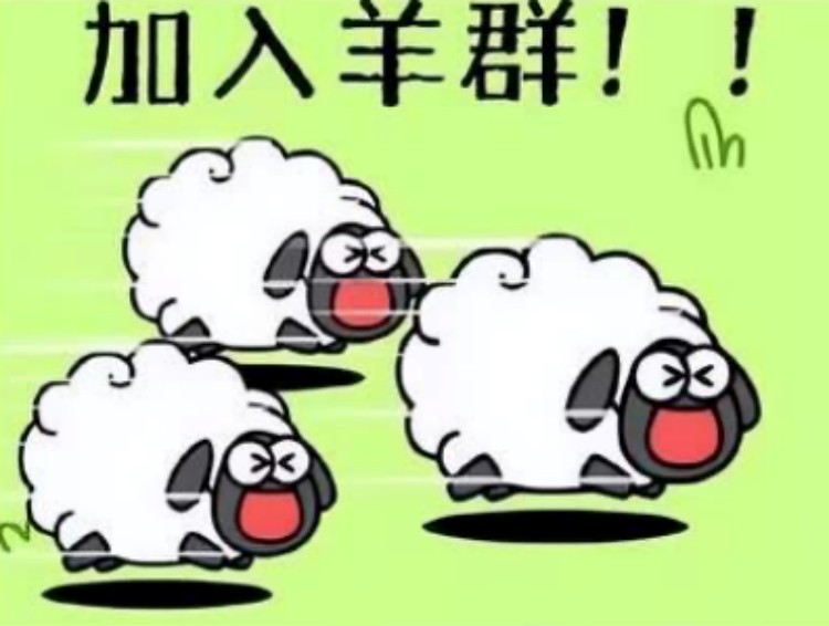 羊了個羊？成都新華四步帶你無限通關(guān)！