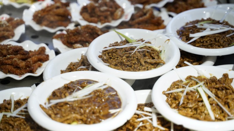 同學(xué)們深夜慎點！“舌尖上的新華”來啦~
