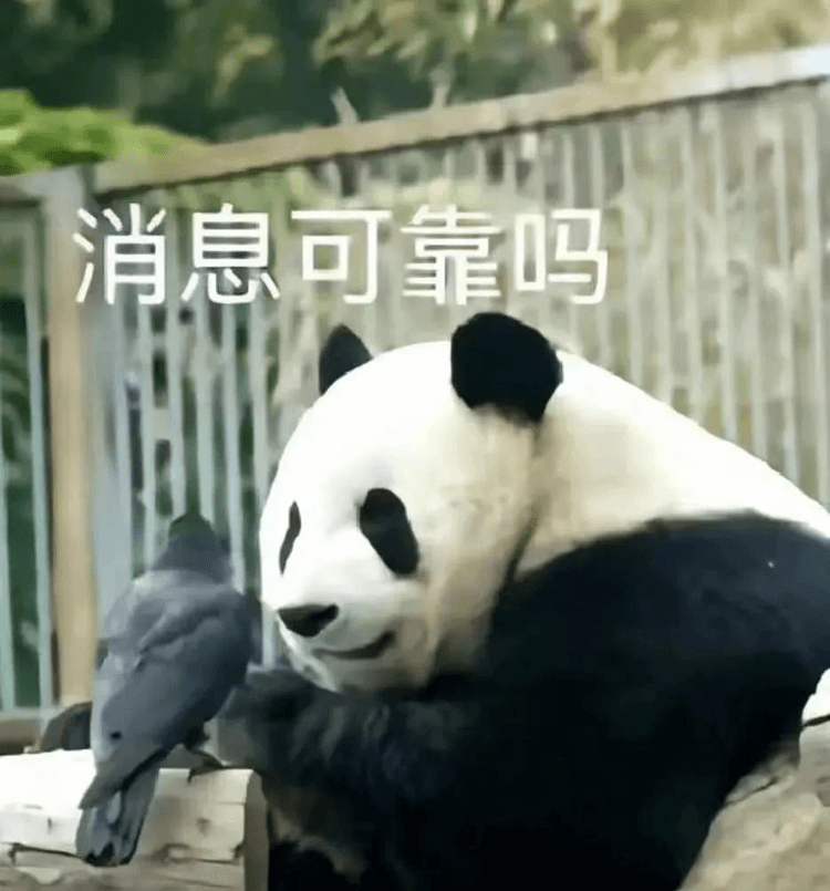 對(duì)口高考：升學(xué)壓力低，還可以沖本科